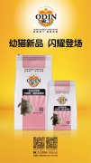奧丁精品幼貓糧閃耀登場?。?！