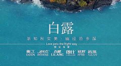 白露丨草木染露，秋韻漸濃