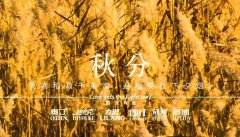 秋分丨晝夜分畫，漸入秋華