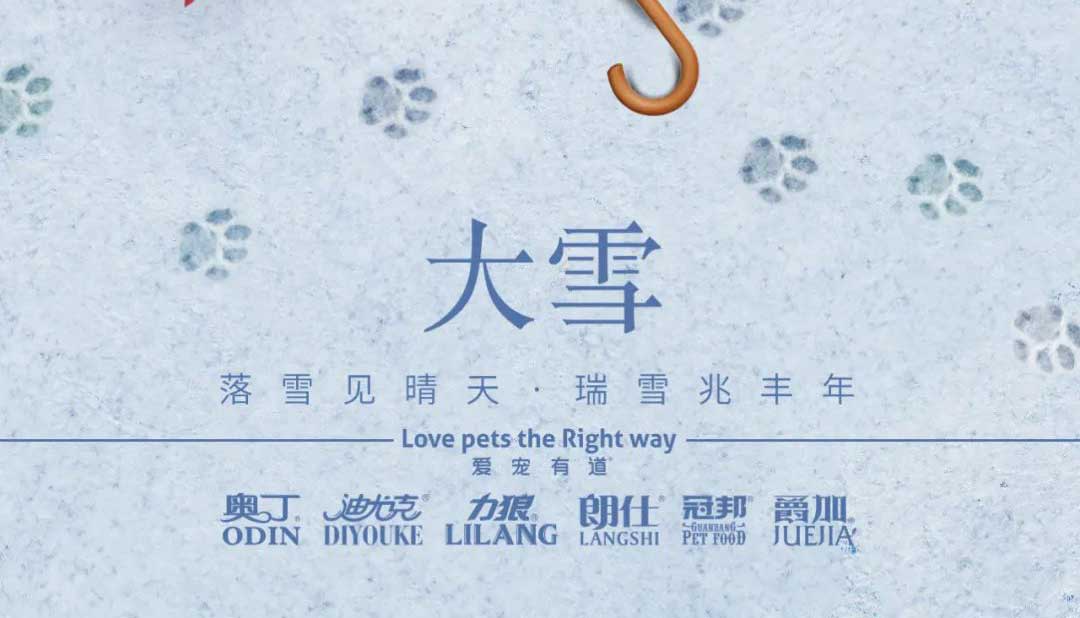 大雪丨雪落知寒意 久伴見初心！