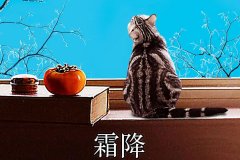 霜降丨縱然霜華盡染，心中美好如初