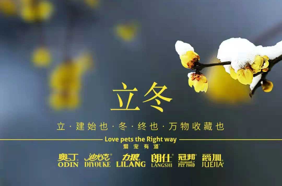 立冬丨冬寒初始，情暖愈濃