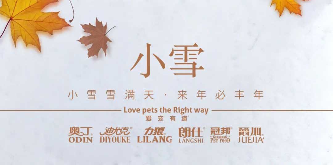 小雪丨天地初寒，歲月安暖