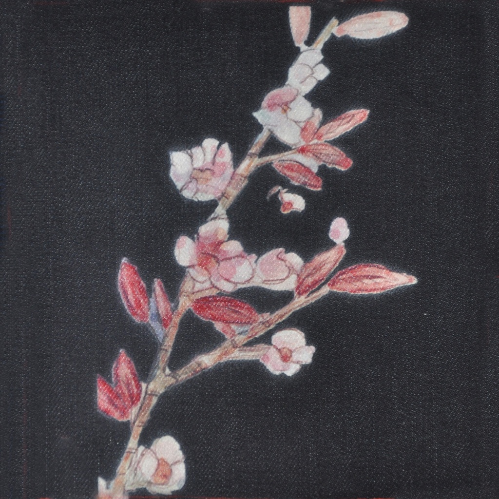 YH0014 (副本)